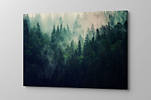 Obraz Ranná hmla nad lesom zs1209